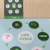Magnetic Suitcase Life Cycle - (Free Stok)