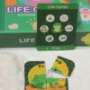 Magnetic Suitcase Life Cycle - (Free Stok)