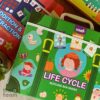 Magnetic Suitcase Life Cycle - (Free Stok)