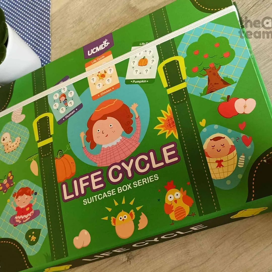 Magnetic Suitcase Life Cycle – (Free Stok)